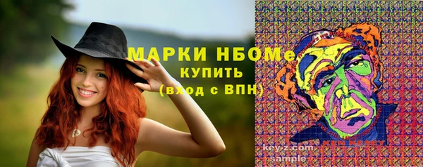 молекула духа Гусев