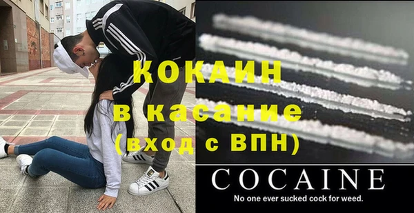 молекула духа Гусев