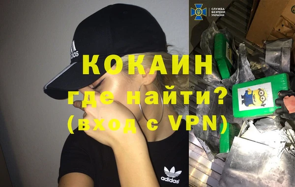 молекула духа Гусев