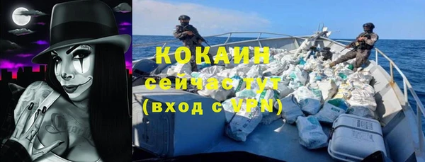 молекула духа Гусев