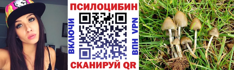 Галлюциногенные грибы Psilocybe  Купить где  Лагань 